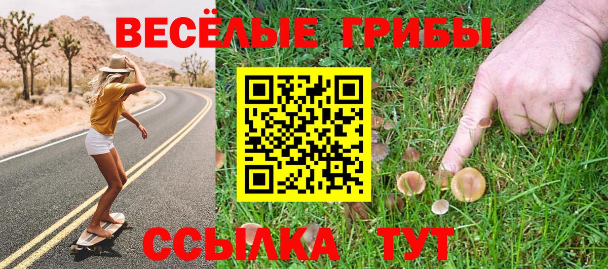 Псилоцибиновые грибы мицелий  Вход с VPN  закладка  Кимовск 